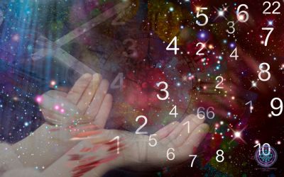 Professional Numerology Training